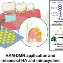 연세정의원 이미지
