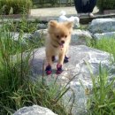 금당초교 이미지