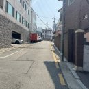 엘리헤어 이미지