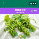 정답은꽃 이미지