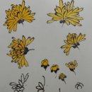 사군자 국화 이미지