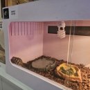 인생막창 이미지