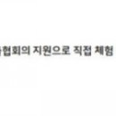 바음키친 이미지