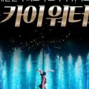 스카이워터쇼 이미지