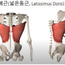 헬스플러스구래 네이버블로그