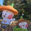 백제로컬푸드 | 부여 백제문화제 아기랑 가을나들이 후기 아이들 놀거리 풍부!