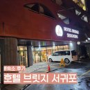 제주 서귀포 올레시장 근처 숙소 호텔 브릿지 서귀포 후기