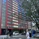 키노시타 | 도쿄 키노시타 재팬 오픈 2025 관람 후기, ATP 500 남자 테니스 대회 (feat. 카를로스 알카라스)