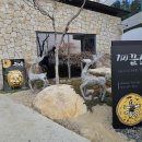 일광물회 | 부산 기장 일광 맛집 찾는다면? 기장끝집 일광점 전복죽 후기