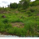 장성목장 이미지