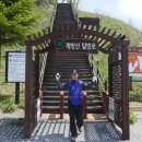 가리왕산목장 이미지