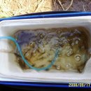 덕송2로 이미지