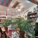 동화한의원 | 동화 속 펜션 "앤의 정원"