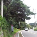 경기둘레길 포천15코스 이미지