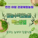 아람나라농원 네이버블로그