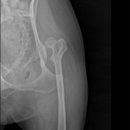 24시 에피소드 동물 메디컬 센터 이미지