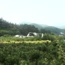 고향농장 이미지