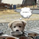 몽키캠핑장 이미지