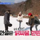 불타는청춘 이미지