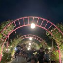 용인대새봄태권도 이미지