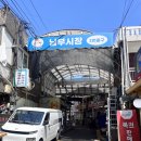 낭만사진관 | 화곡 사진관ㅣ낭만사진관 강아지 증명사진