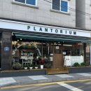플랜토리움