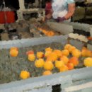 화성국제행정사사무소 이미지