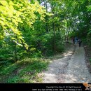 2017년 5월 28일(일) 군포 수리산 둘레길 후기 - 아늑한 숲길, 행복한 걸음 이미지