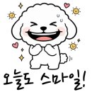 더블유동물의료센터 이미지