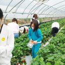 다슬기초량마을 이미지