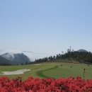 로얄카인테리어 이미지