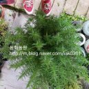 동화조경농원 이미지