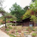 박달재자연휴양림 이미지