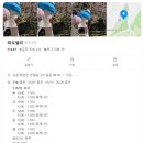 [양양]전국 유일 하늘나르기 짚와이어 체험이 있는, 레포밸리