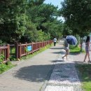 중문카라반 이미지