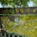 제주아그로 | 당진 아그로랜드 태신목장 청보리, 수레국화, 양귀비 5월 중순 방문 후기