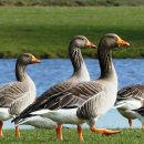 한국폴리텍 V 대학 순천캠퍼스 이미지