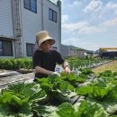 석현초등학교정문 이미지