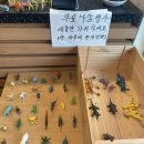 드렁몰라도새기샤브마을 네이버블로그