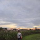 순천만여행 | 10월 순천만 가족여행 / 여미락 후기