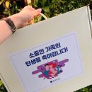 광주 서구보건소 임신 16주 선물 수령 후기