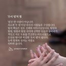 화갤러리