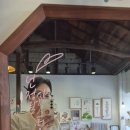 시우그리다 이미지