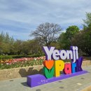 연지체육관 | 김해 연지공원 튤립 4월 12일 개화상황 벚꽃은 없지만 그래도 예뻐요