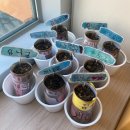 친환경 화분 만들기 이미지