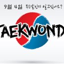 단결태권도장 티스토리