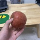 송도 멍멍이약국 | 타는남자 우승(42)