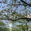 신원아침도시아파트 경로당 이미지