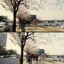청담 레옹