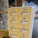 에코농장 | [모리셔스 신혼여행 2일차] 카셀라 파크 에코 라이더와 워킹 위드 라이언 후기